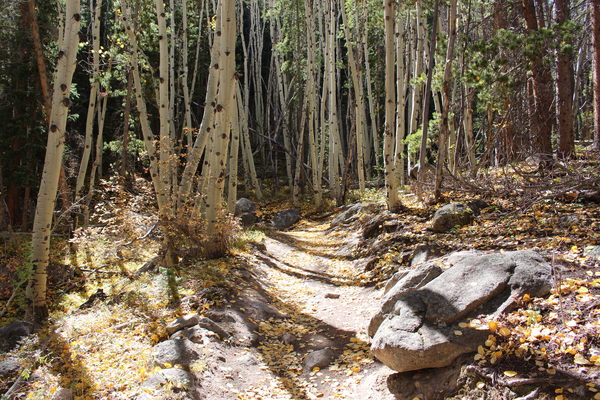 2020-09-29 Trail to Sprague Lake