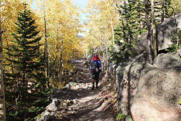 2020-09-29 Stefan on trail to Glacier Basin Campground