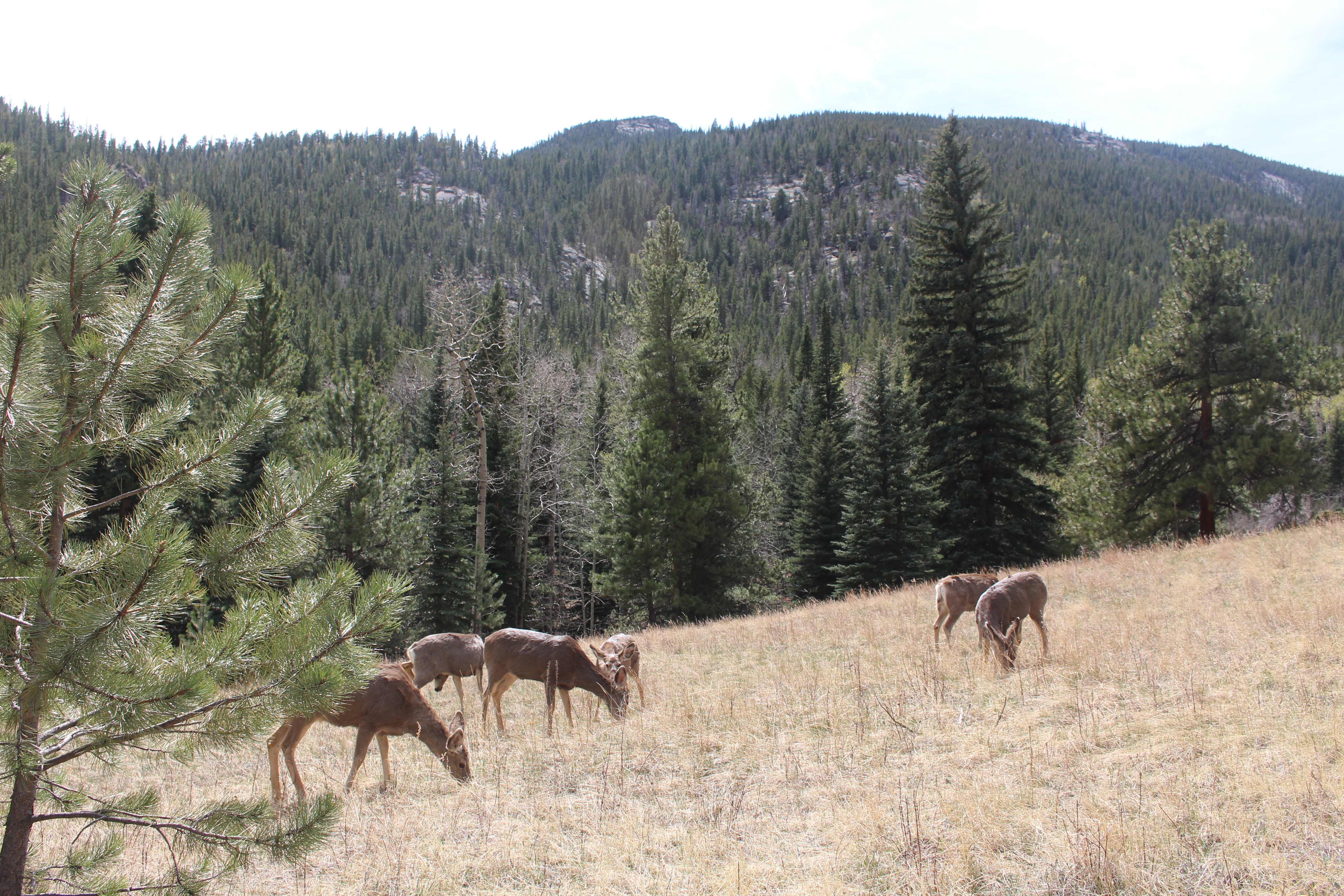 Macro and Micro Picture of the Day 2026-04-12