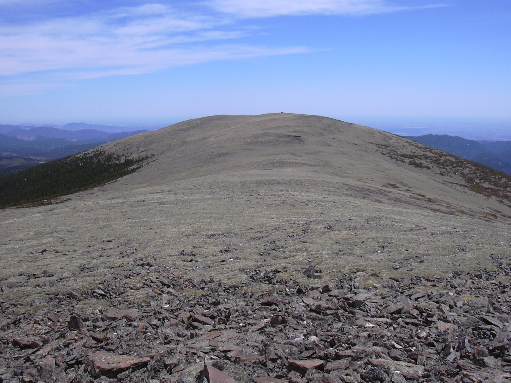 Niwot Mtn from Point 11557, 05/27/06