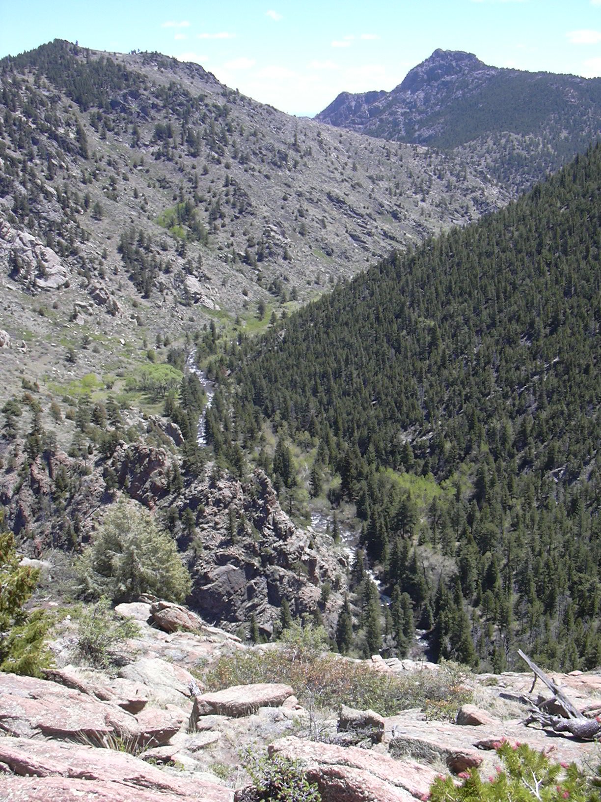 North Saint Vrain Canyon from rock overlook, 05/24/08